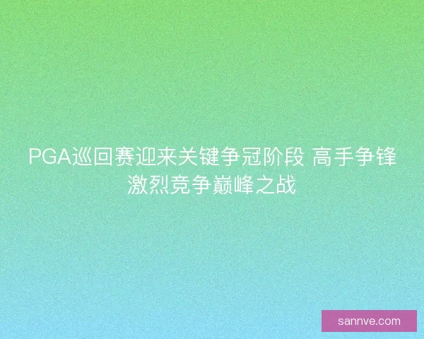 PGA巡回赛迎来关键争冠阶段 高手争锋激烈竞争巅峰之战